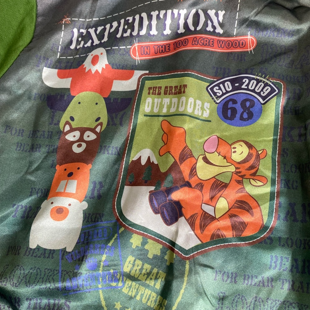 Disney Green Kids Hoodie with Patches Size 5T - Picture 6 of 7